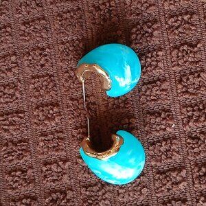 Elegant Resin Teardrop Earrings